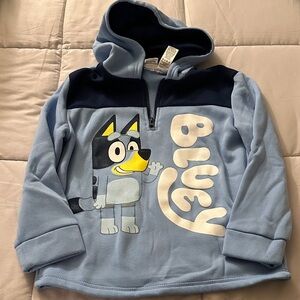 Disney Bluey Character Hoodie